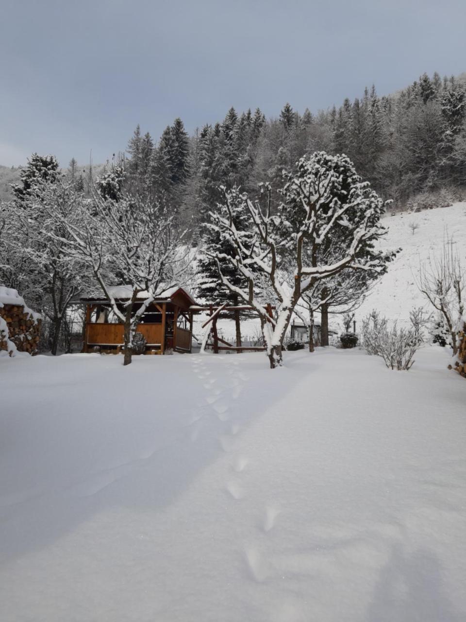 Rekreacny Domcek Judka Vila Dedinky Exterior foto